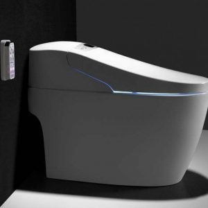 Smart Toilet